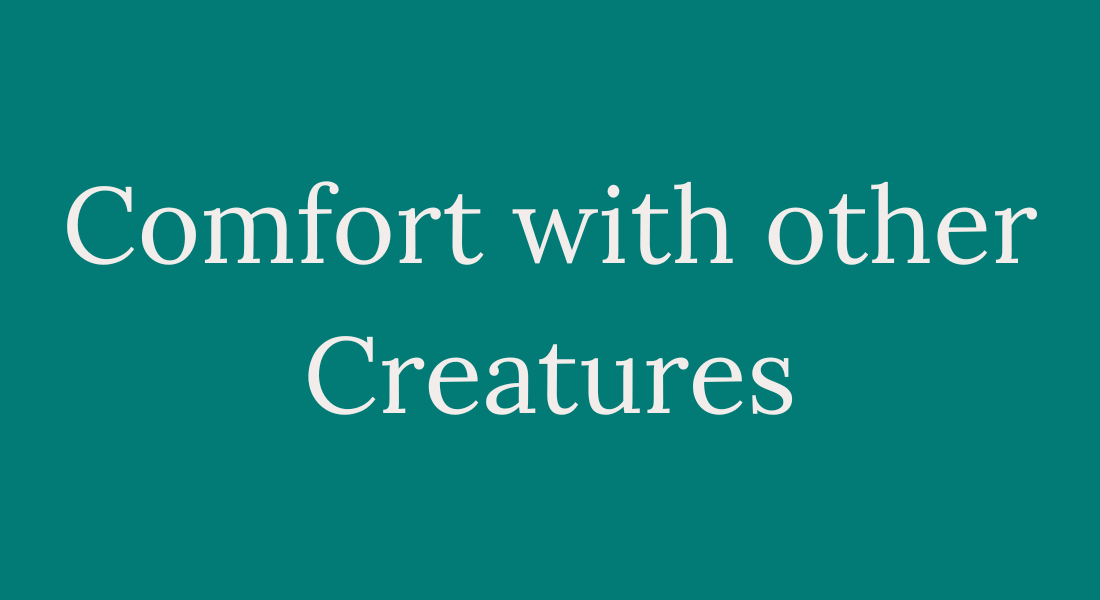 Comfort with other creatures Learn how to increase your capacity for healthy, caring relationships. Find ease and energy in engaging with all kinds of people.
